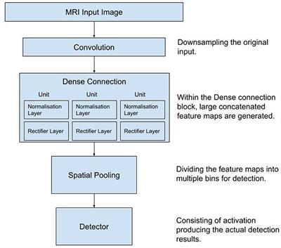 Using Deep Learning to Detect Spinal Cord Diseases on Thoracolumbar Magnetic Resonance Images of Dogs